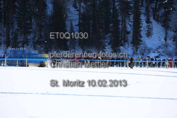 ET0Q1030 prot